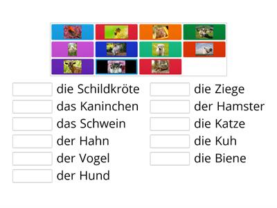  Wie heißen die Tiere auf Deutsch?