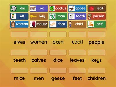 Irregular Plural Nouns