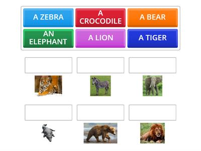 Unit 4, A funny zoo (animals)