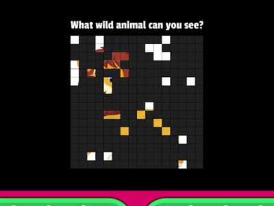 Wild animal guessing game