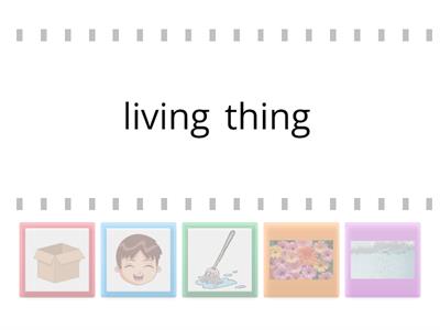 living and non-living things