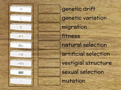 SI BIOL 10 Mechansims of Evolution