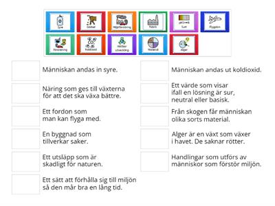 Begrepp människan och naturen