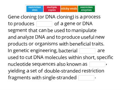 Gene cloning