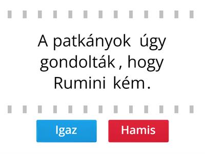 Rumini Igaz-hamis (11-15.)