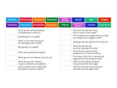 Respiratory System Keyword Linkup