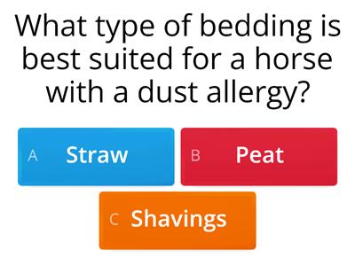 Horse quiz