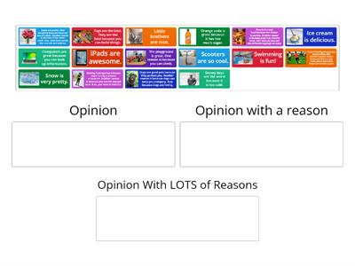 Opinion and Reasons