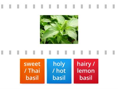 Thai herbs and spices