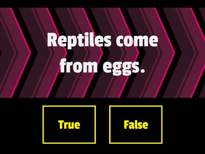 REPTILES: True or False?