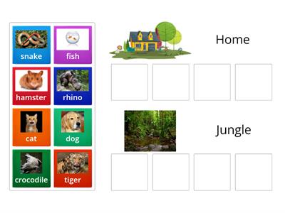 Super Safari 2: Unit 4, Sorting Home vs. Jungle