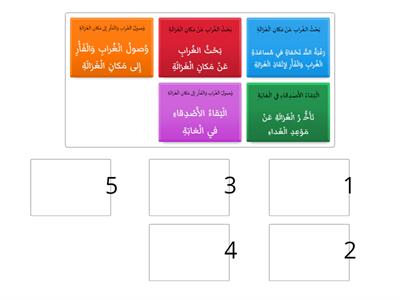 الأصدقاء الأربعة (1)