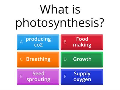  Quiz on Plants ( Class: 4,5,6,7)