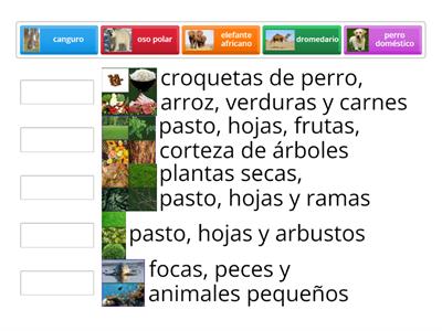 La alimentación de los animales terrestres 