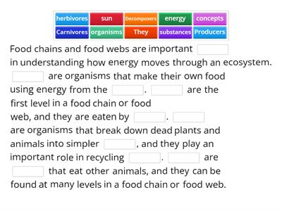 Food Webs and Energy Pyramids: Bedrocks of Biodiversity