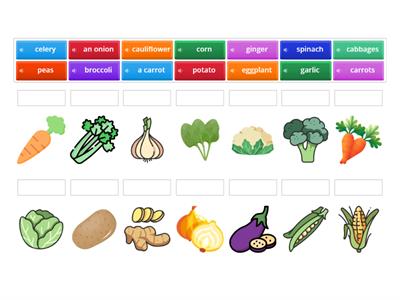 • Target Vocabulary : Vegetables 蔬菜