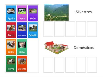 Animales domésticos y silvestres