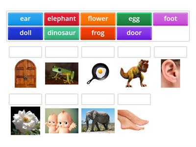 Match the words with the pictures!