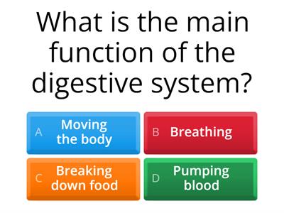 Digestive System-Reinforcement