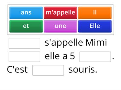 La présentation - mots à replacer - Vitamine 1 - Y3+ 