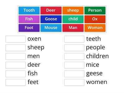 V1, Irregular plurals 