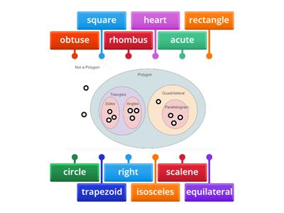 Polygons Venn Diagram