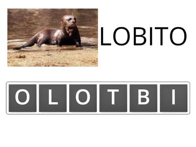 juego lobito