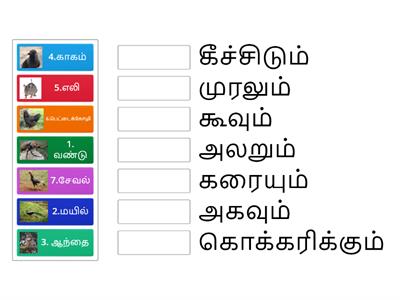 தொகுதி 19 ஒலிமரபுச் சொற்கள்  பக்கம் 47