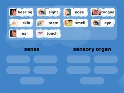 sense and sensory organs