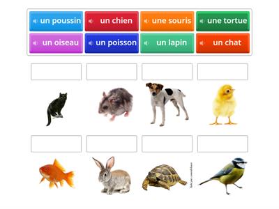 animaux pour enfants