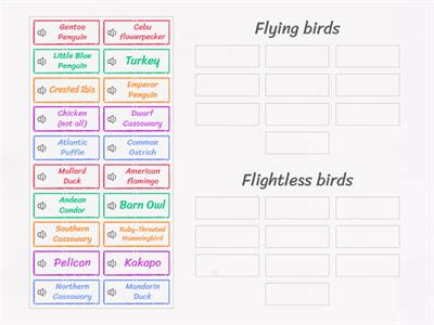 Flightless and Flying birds TLLSA quizzes