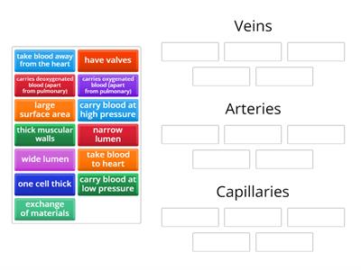 Veins Arteries and Capillaries N5 biology