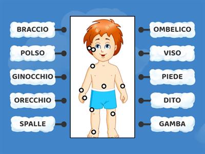 LO SCHEMA CORPOREO