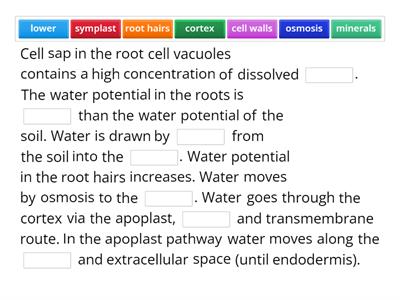 Discuss the uptake of minerals and water in vascular plants.