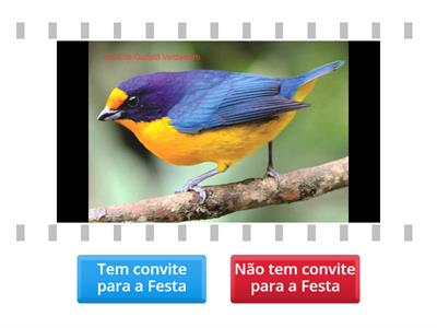 Festa no Céu