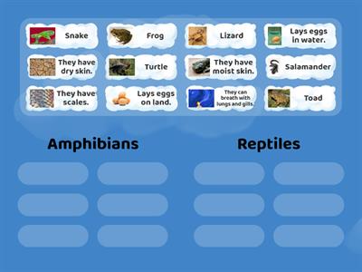 Amphibians vs Reptiles - 3rd Grade Science