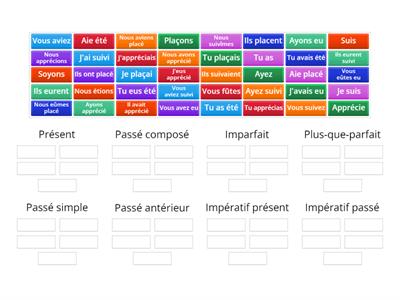 Verbes à conjuguer (être, avoir, suivre, placer, apprécier)