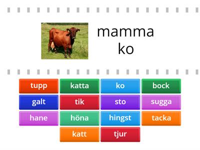 bondgårdsdjur mammor o pappar tex ko, tjur, sugga, galt