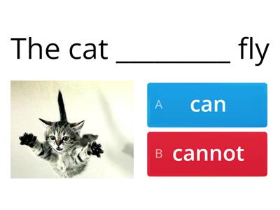 Can/ Cannot
