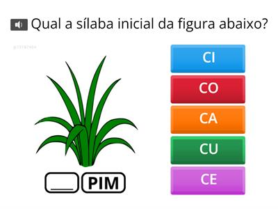 Letra C: Sílabas Simples (4–7 letras)