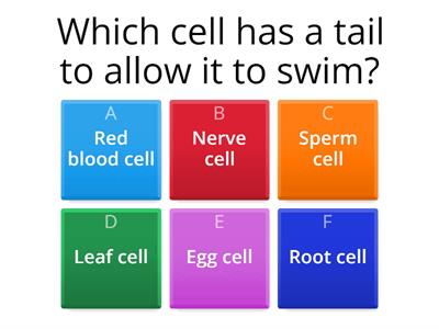 cell specialisation 