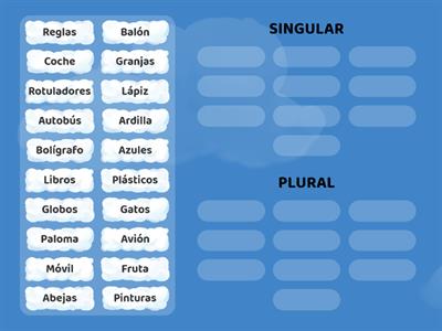 Singular y Plural RASI 1