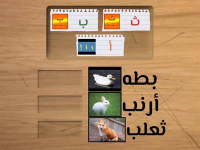 Arabic learning 