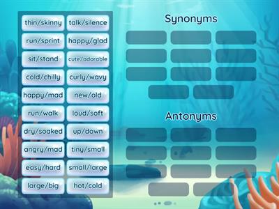 Synonym & Antonym Sort