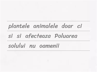 Poluarea solului