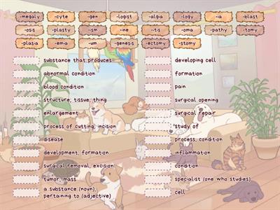 Ch. 1 Suffixes