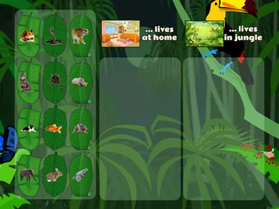 SS2 U4 CLIL Where Do Animals Live Home / Jungle Sorting 