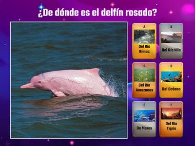 El delfín rosado