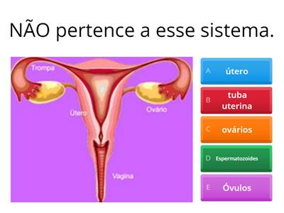 Estudo do  corpo humano