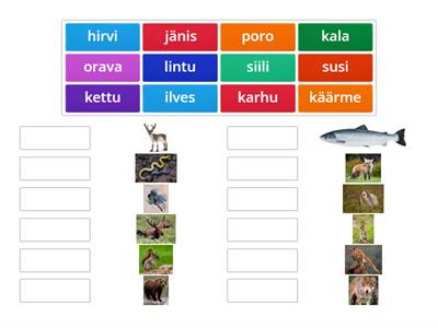 Eläimet: Etsi parit